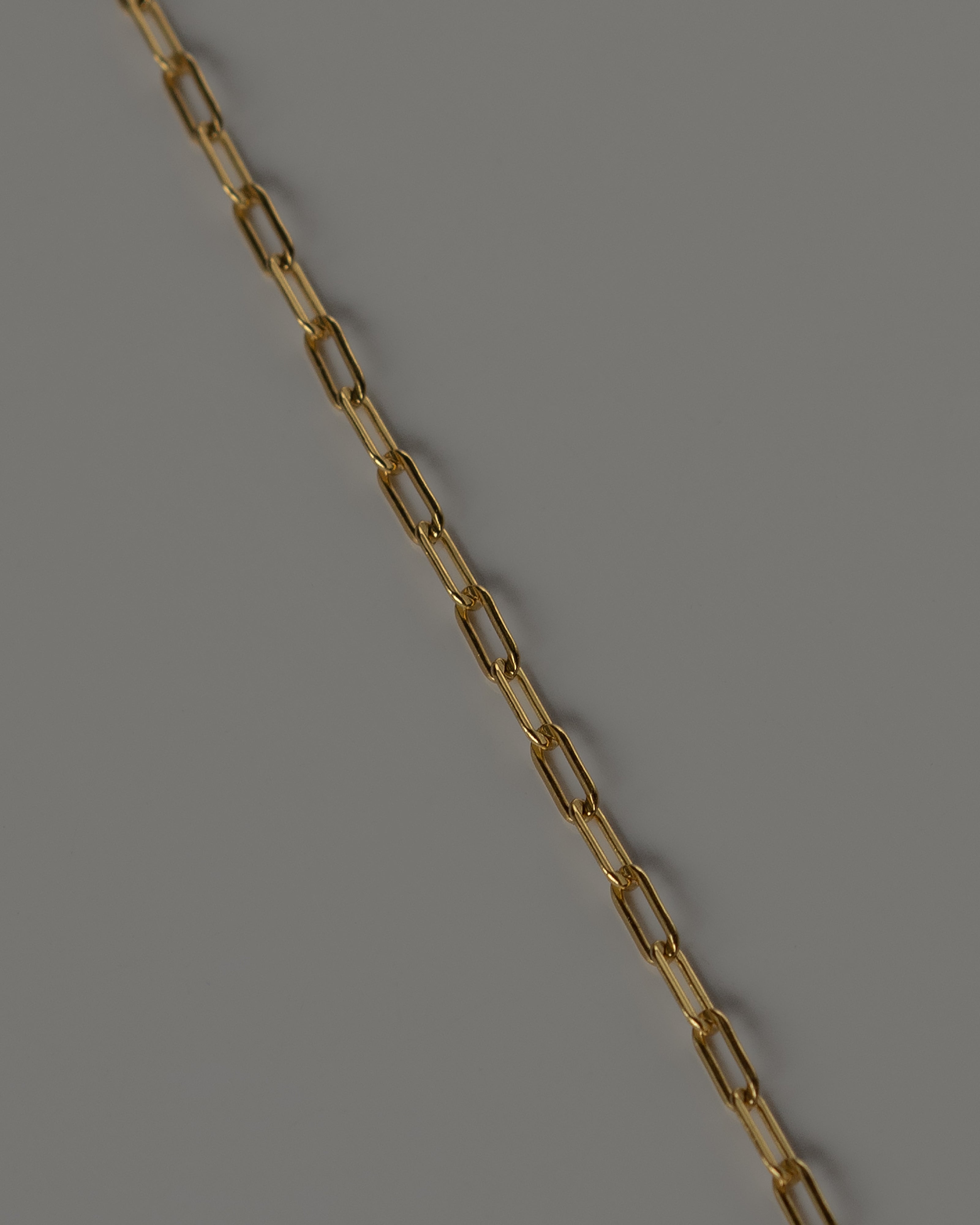 Esther Chain Choker Necklace