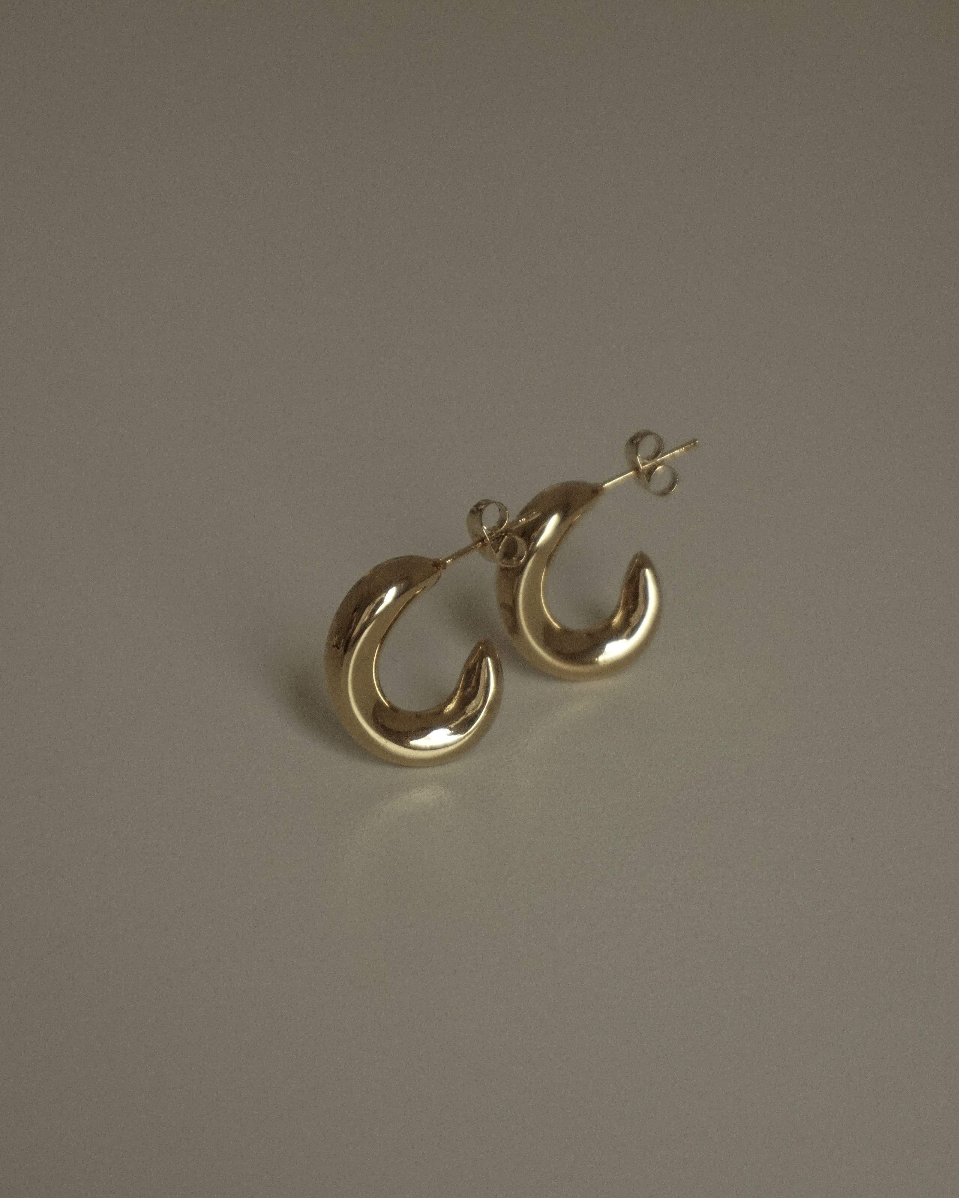 MYJN Earrings 18K Gold Stainless Steel Anya Bold Hoop Earrings